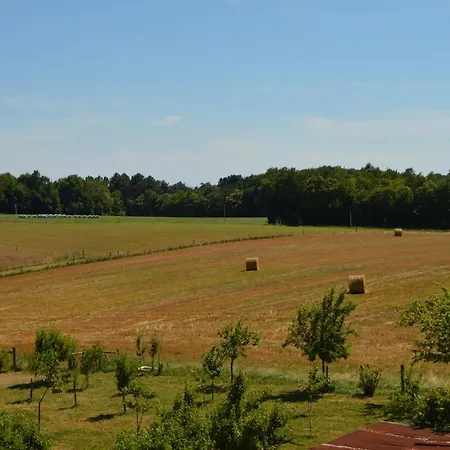 Domaine De Chantegros Bed & Breakfast *