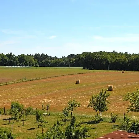 Bed & Breakfast Domaine De Chantegros Eyzerac